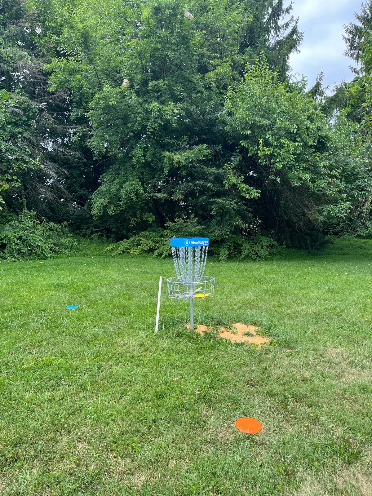 Hole 7 basket