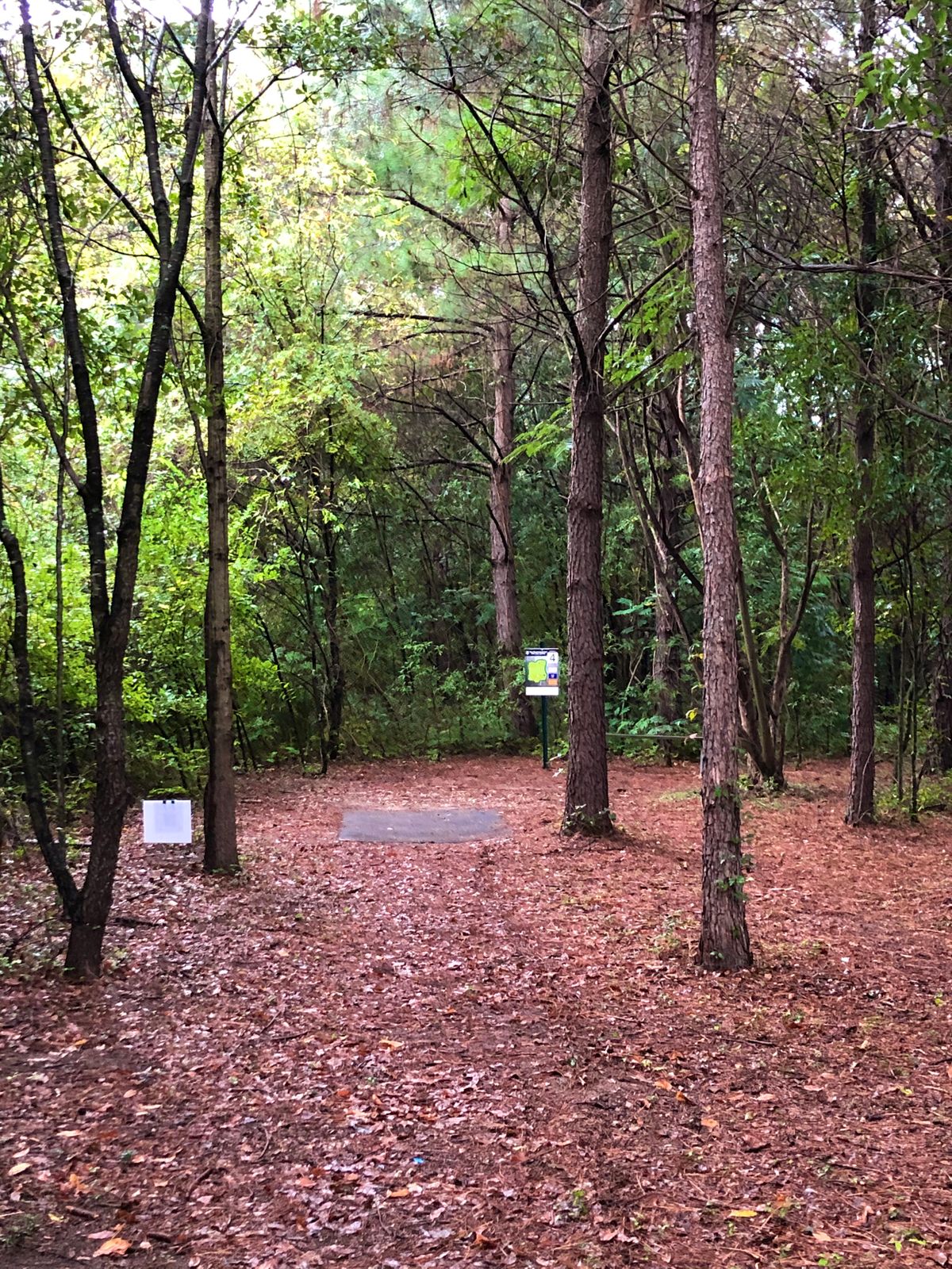 Hole 4
