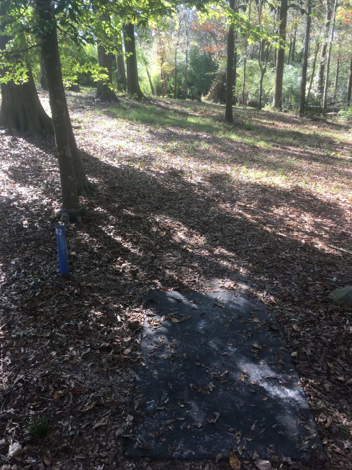 Hole 12 Tee