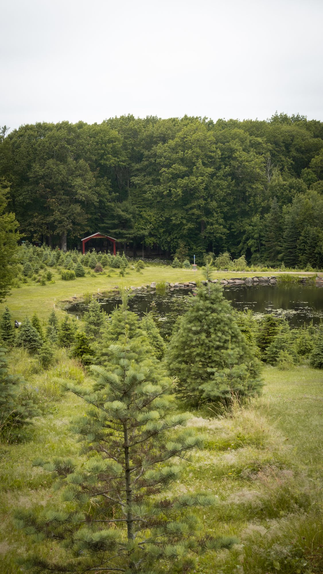 Hole 1’s fairway