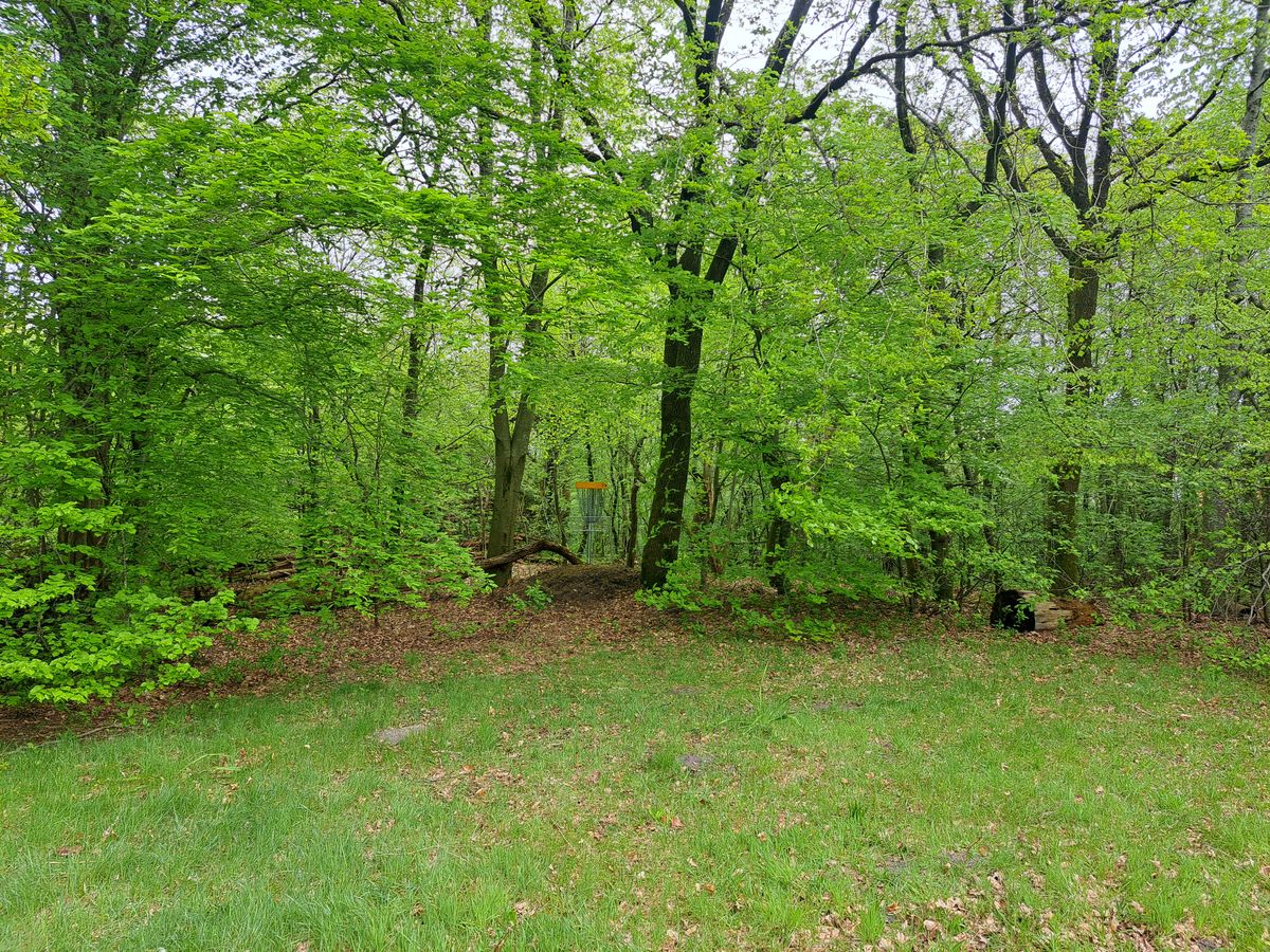 Hole 1 green