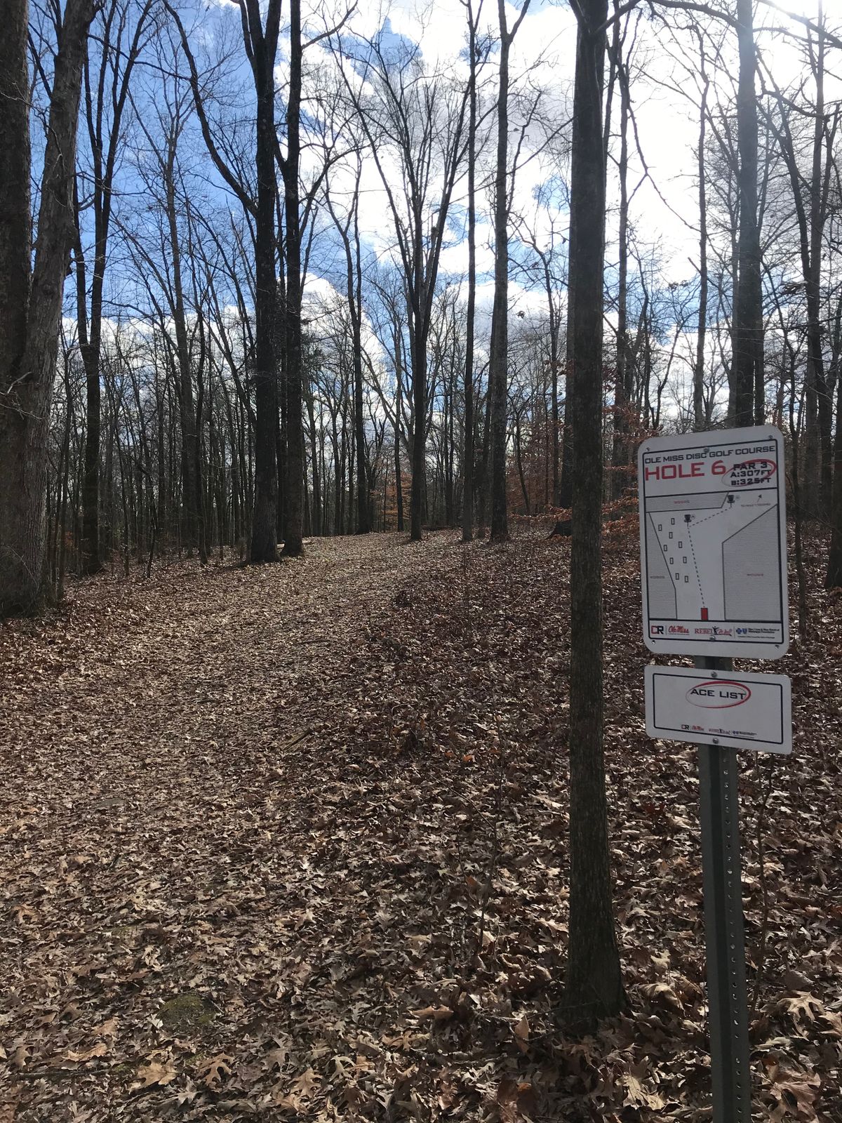 Hole 6
