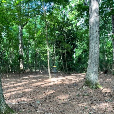 Hole #1 approach to the basket