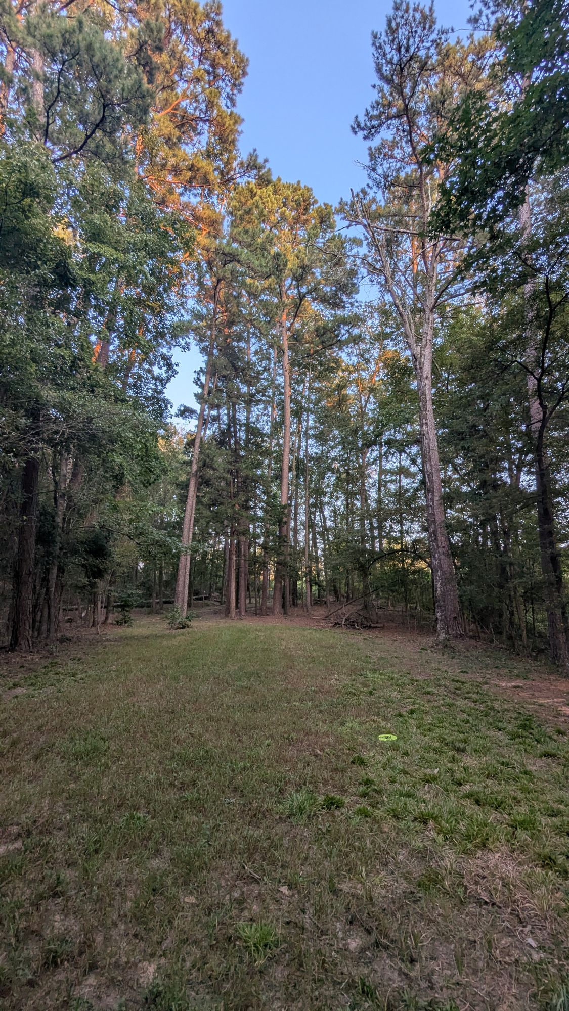 Easily the prettiest course in east Texas at Fall