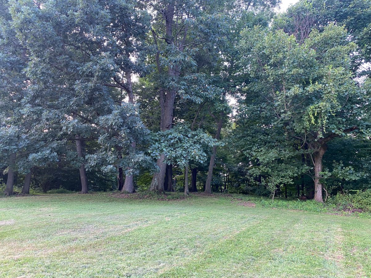 Hole 15 fairway