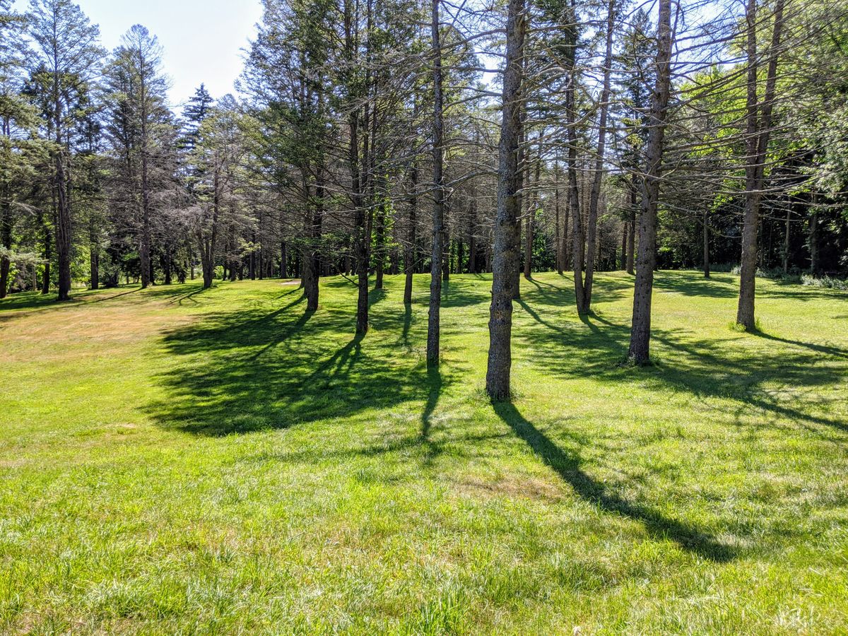 The wooded holes on the front nine