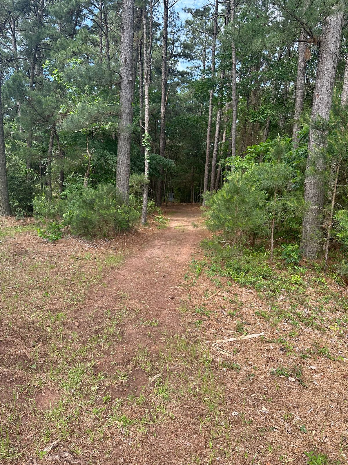 Hole 16 basket