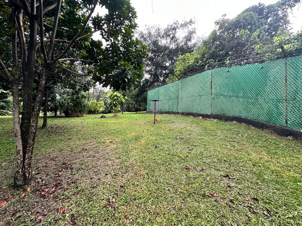 Hole 5 Basket