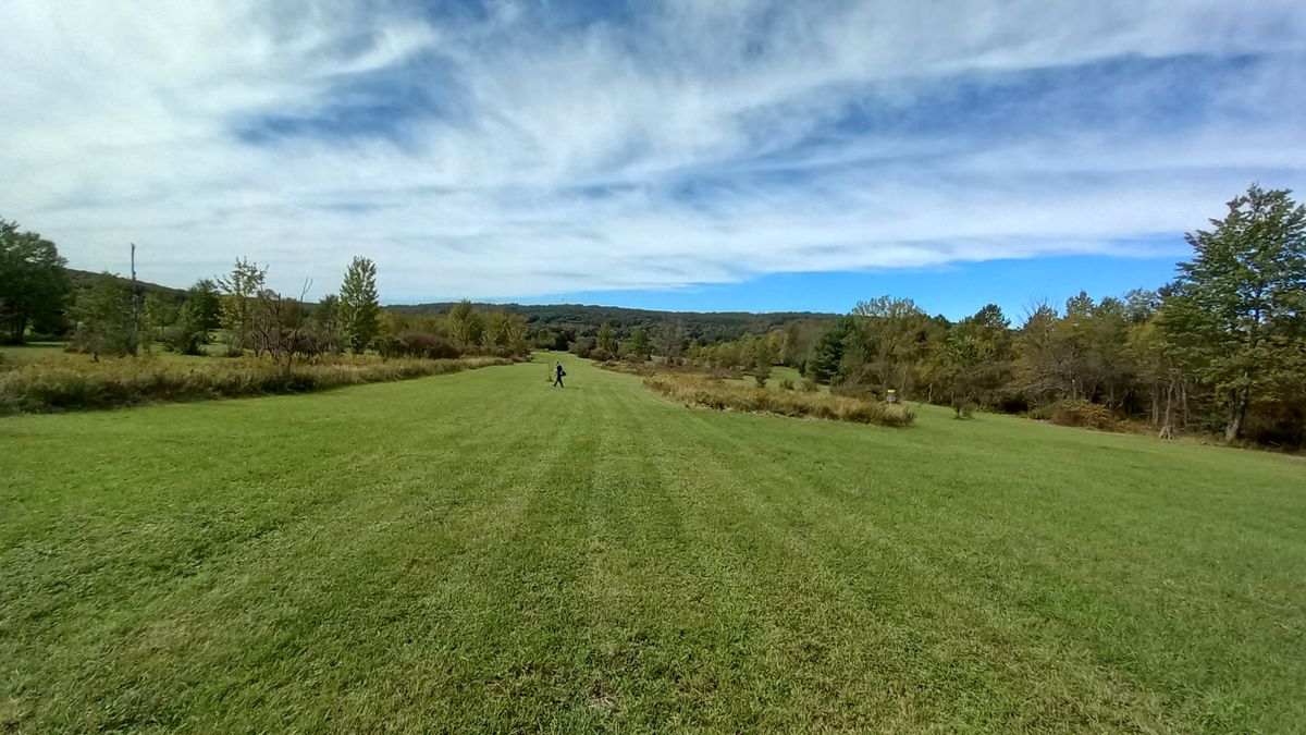 Hole 5 mid fairway out of the woods. Hole 3 from behind on the right