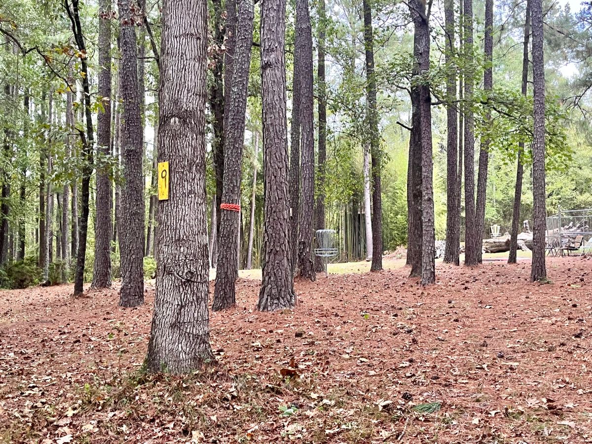 Hole 9 Basket