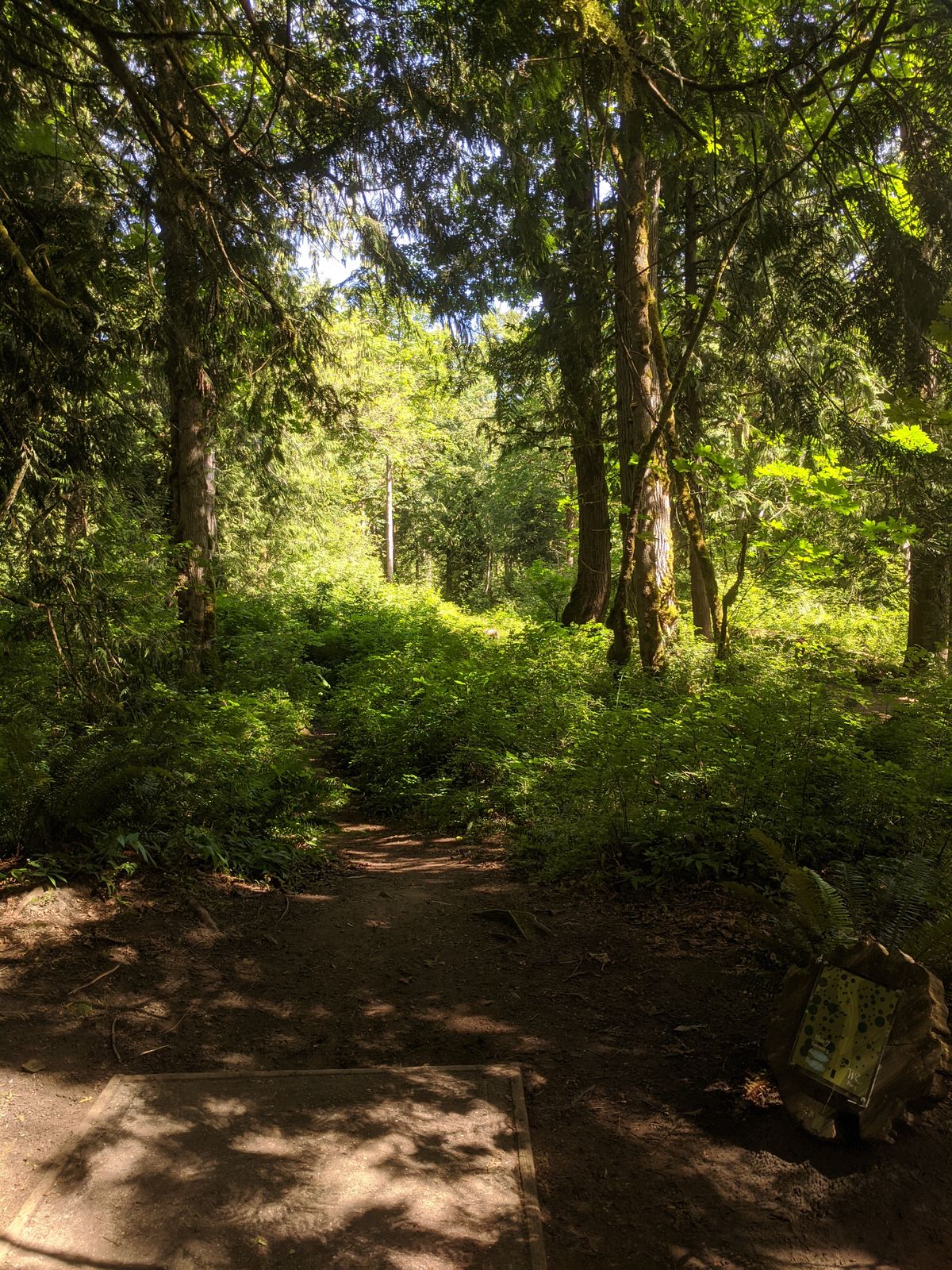 Nature took over the course while we were gone.
