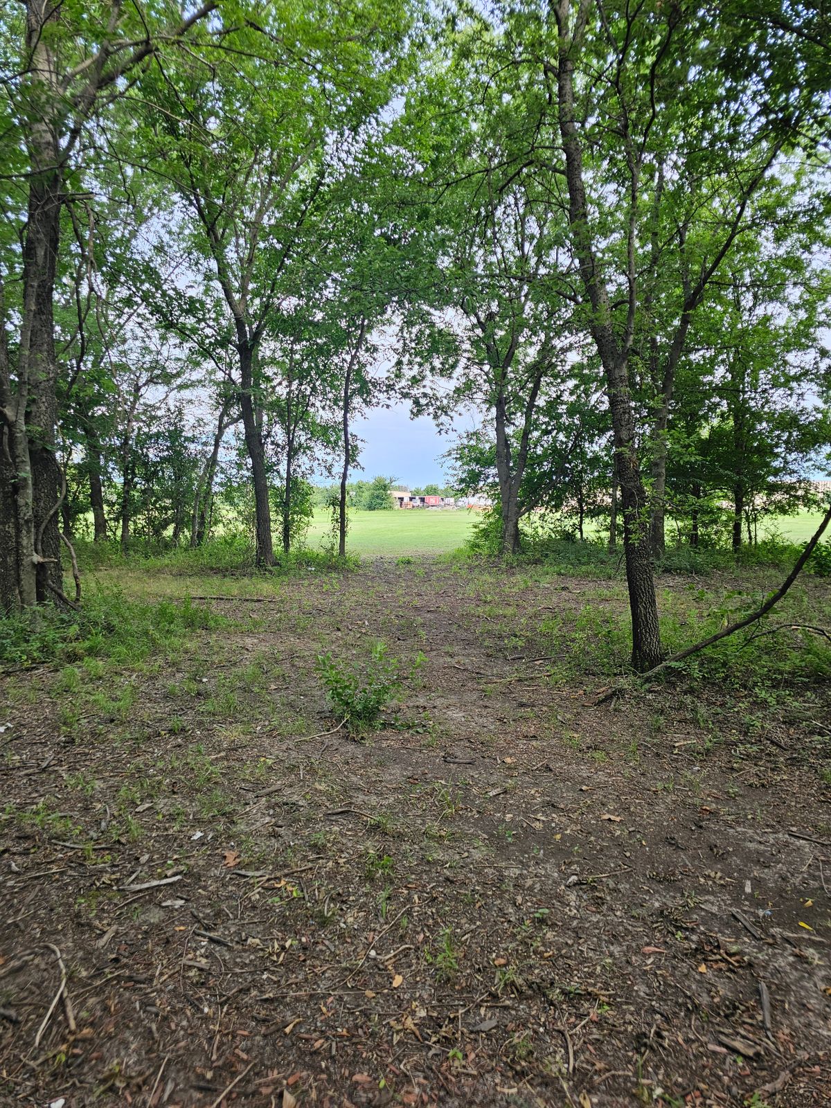 7 tee