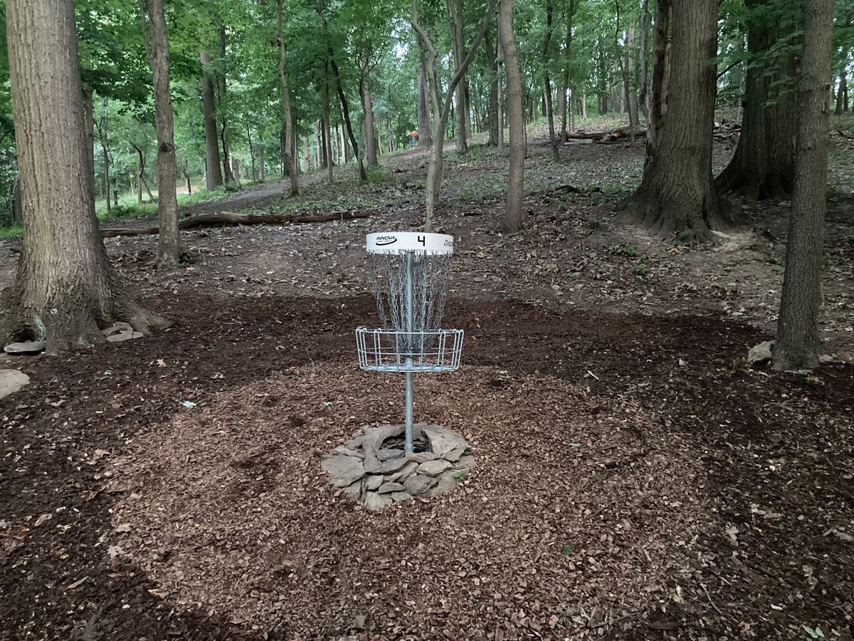 Hole 4 D pin