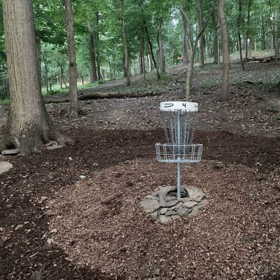 Hole 4 D pin