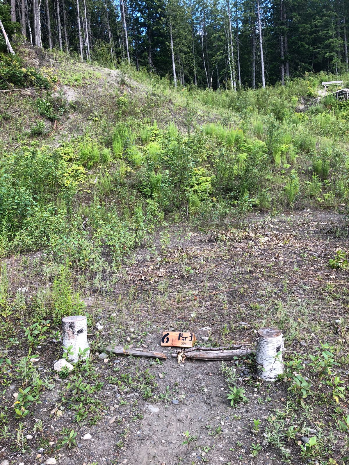 Hole 6 tee, up the hill to the bucket.