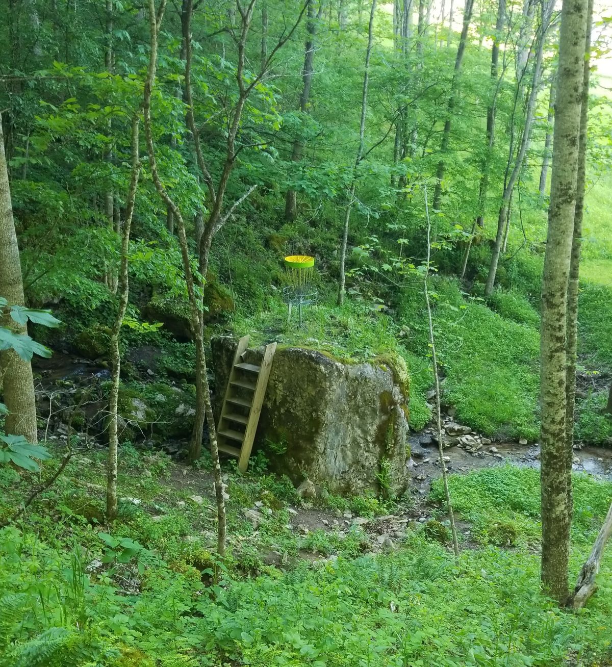 2nd Hole