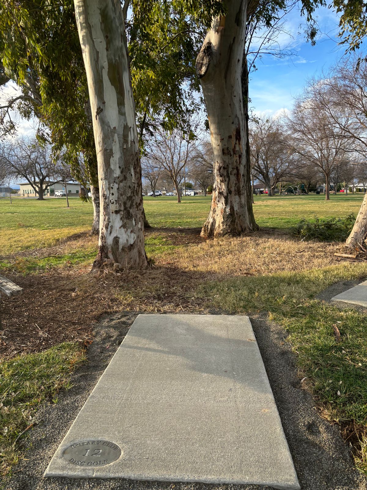 12 tee pad.  Triple Mando fairway.  Between the 2 large Eucalyptus trees and to right of tree.