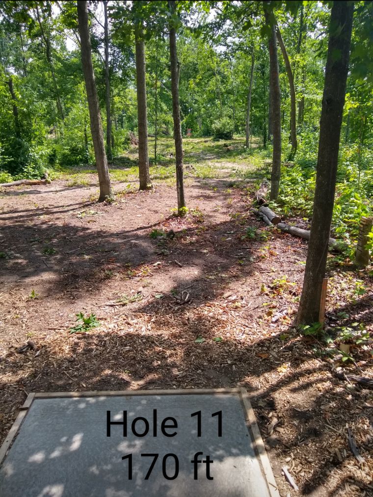 Hole 11