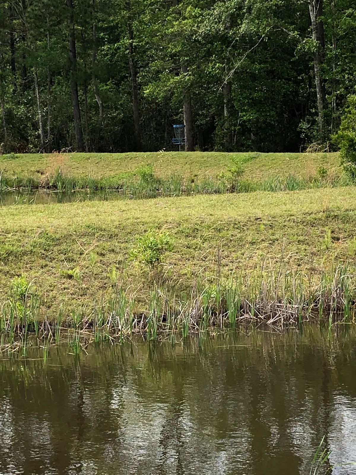 Hole 6 as seen from the alternate tee pad