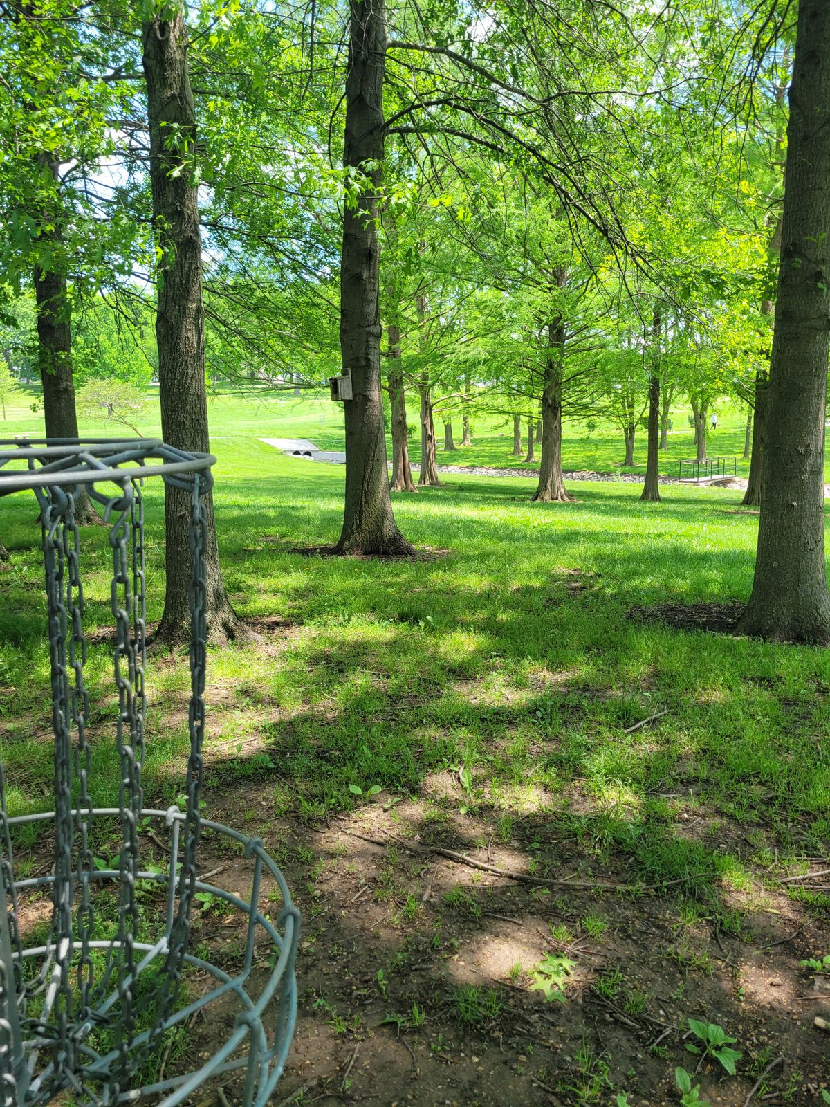 Hole 8 Basket to Tee