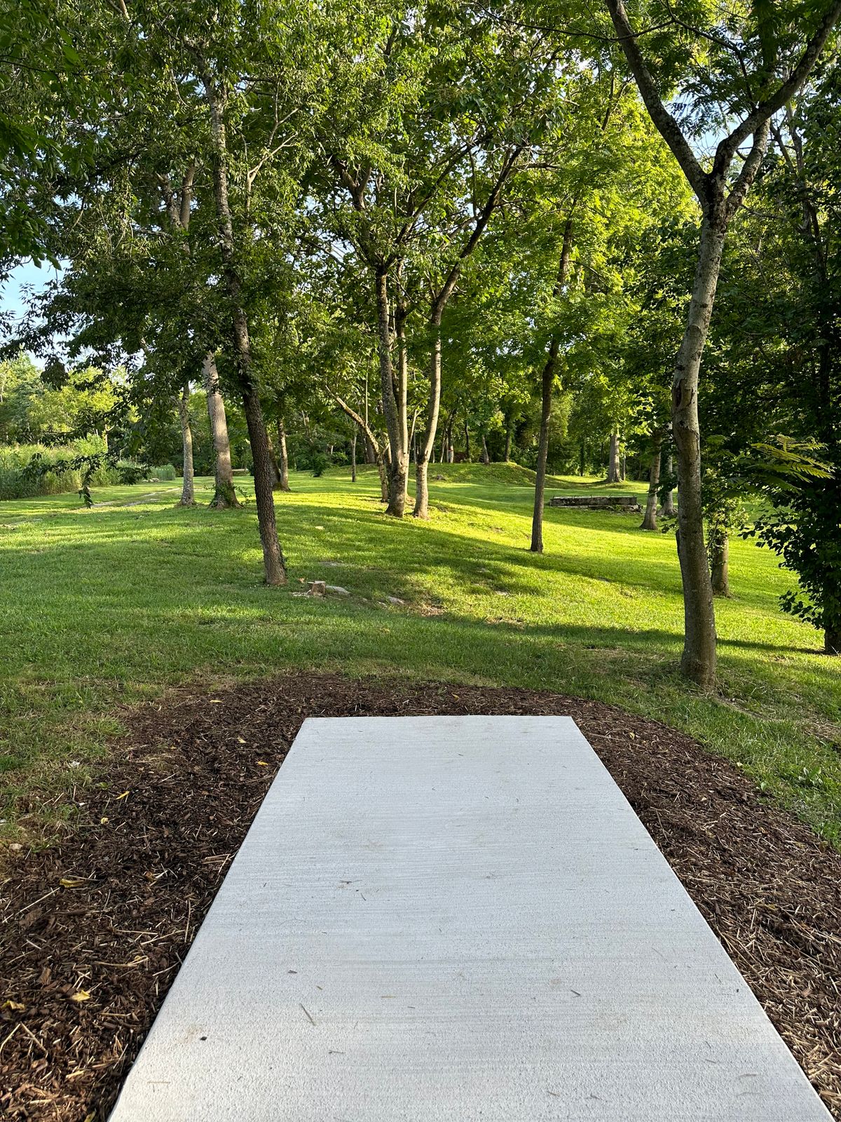 Hole 14 tee