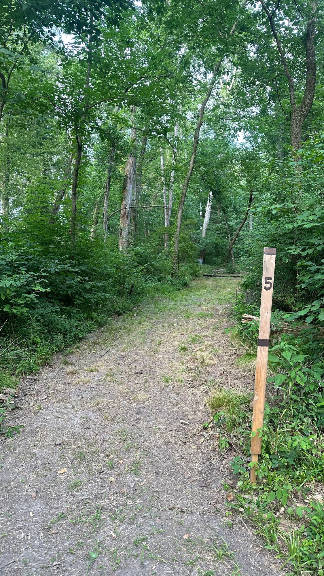 Teepad 5 keep it on the fairway
Short Ace Run