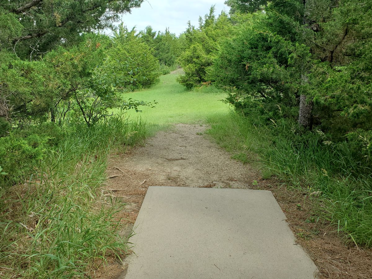 Hole 14. The basket is straight and up the dirt hill to the right.