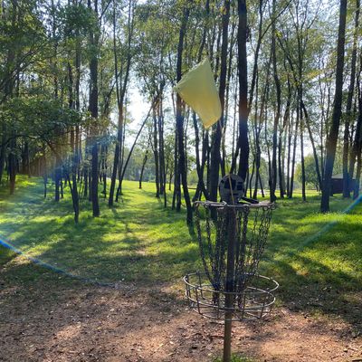 Hole 1 from the basket