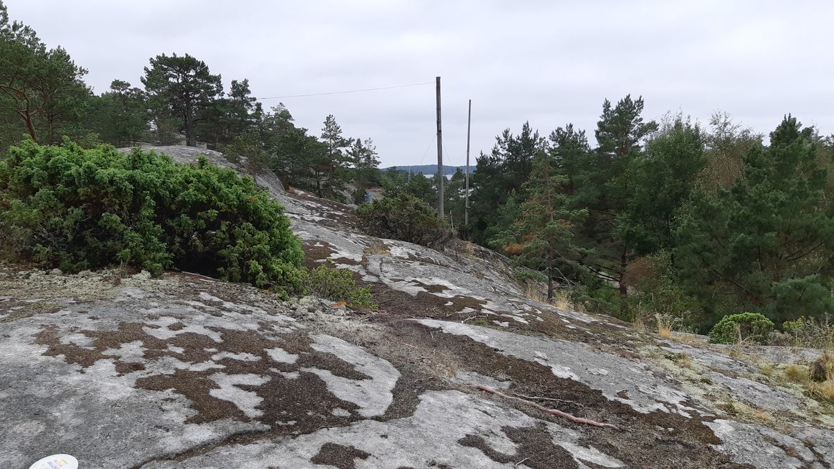Väylä 1