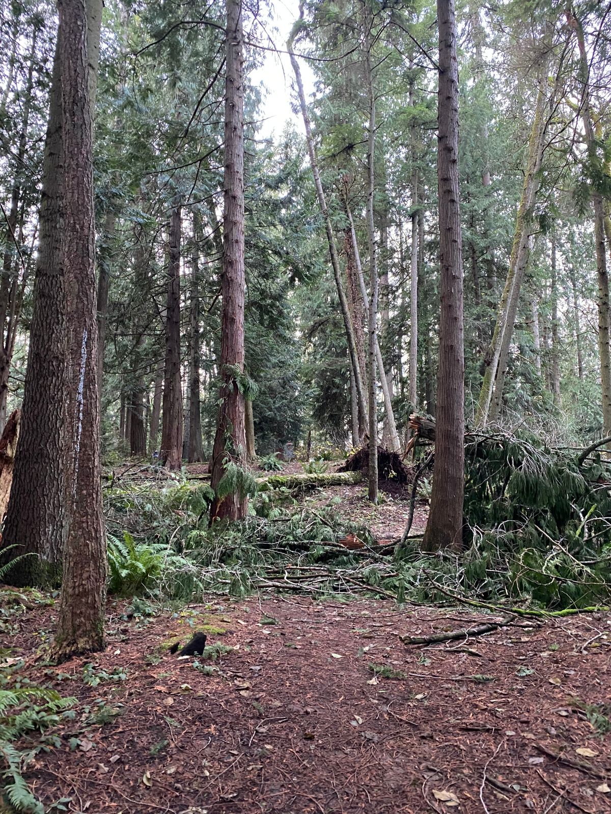 Not unplayable just a tree down that you can get around or over with ease.