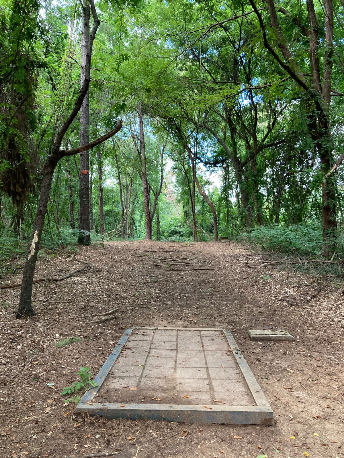 Hole 3 - mando right of initial left side tree - two usable fairways depending on landing zone.