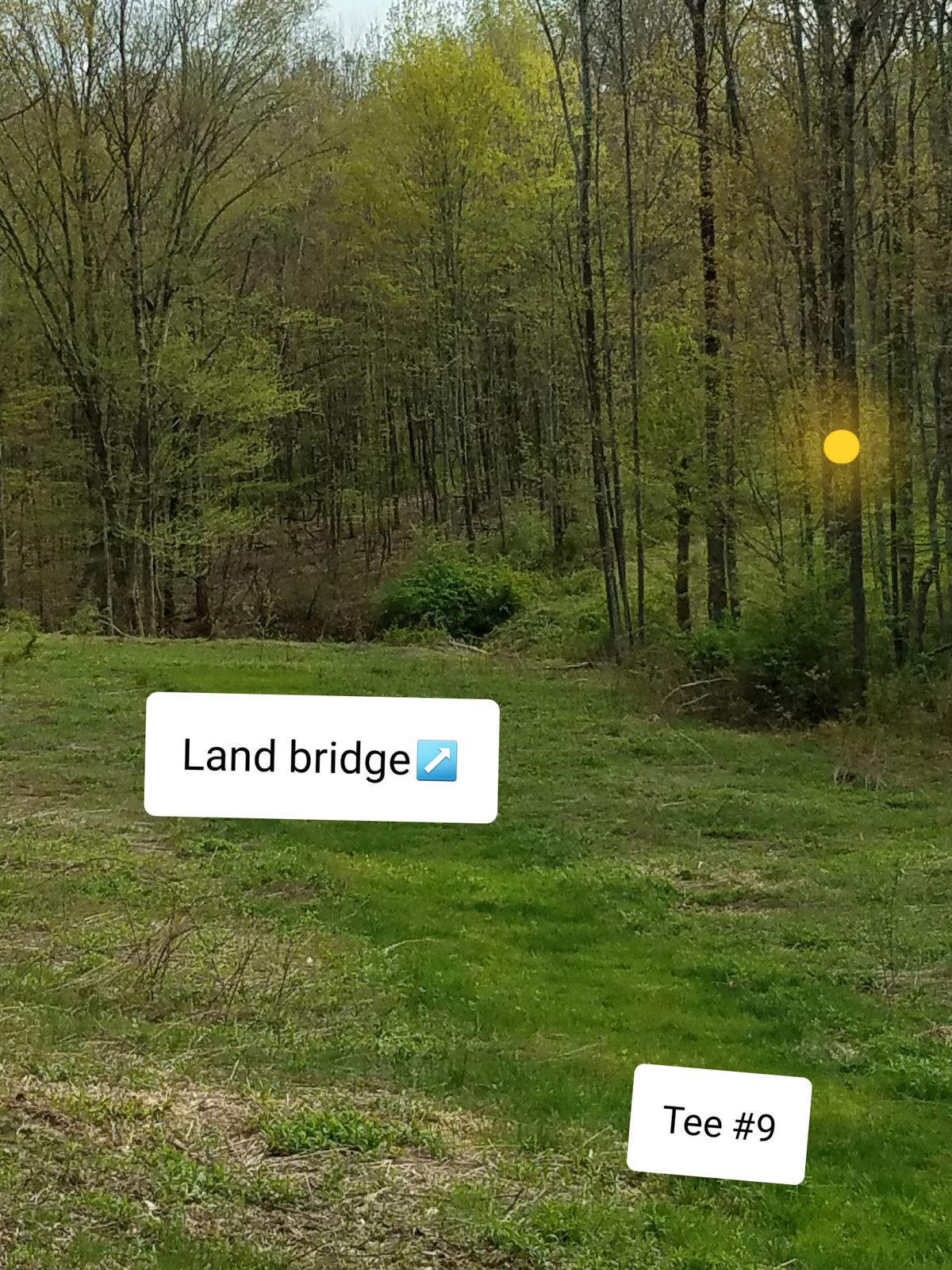 Stream to cross, land bridge to right