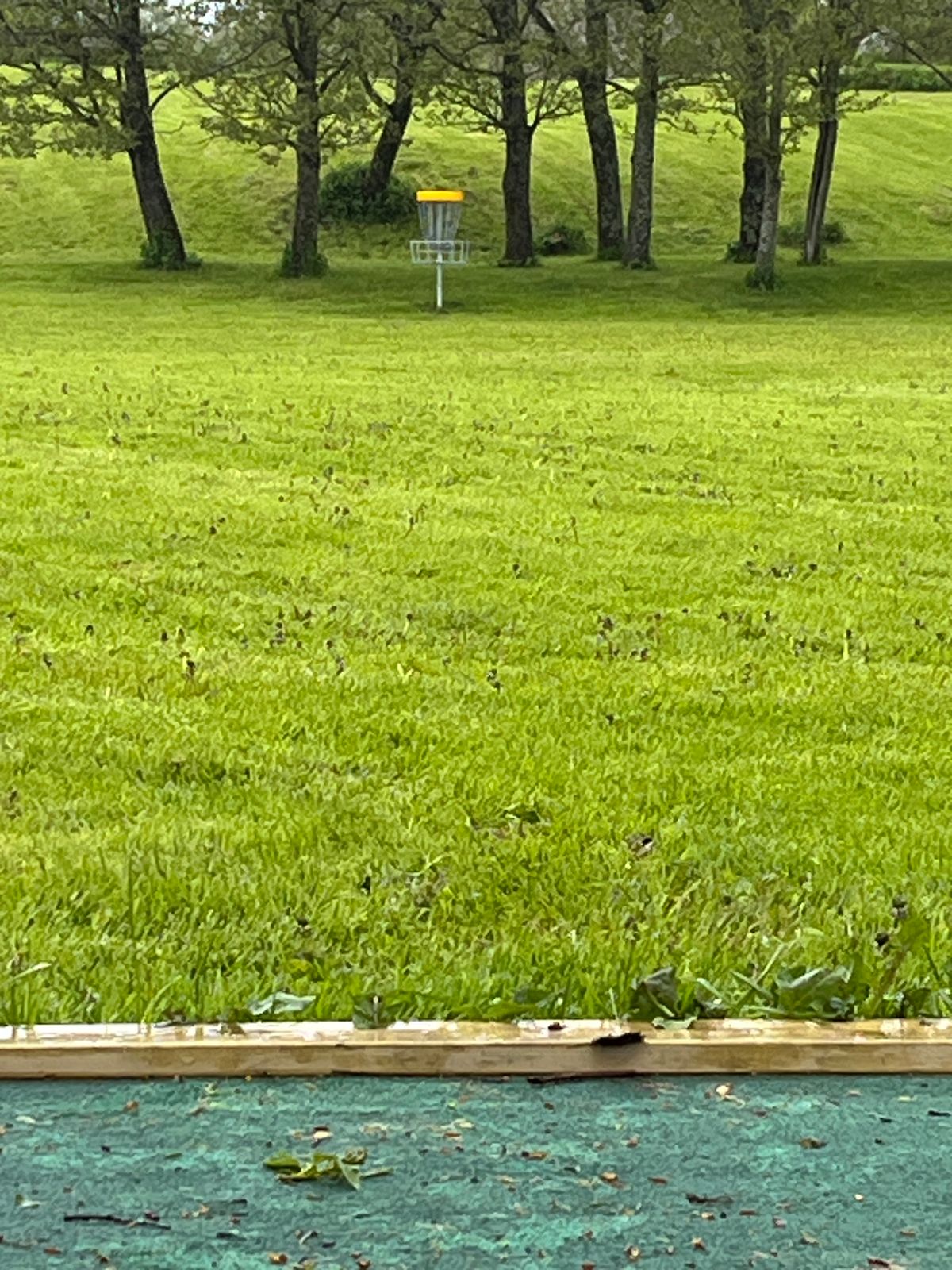 Basket on hole 1 seen from the teepad.