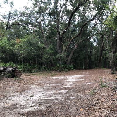 Hole 15 Mando