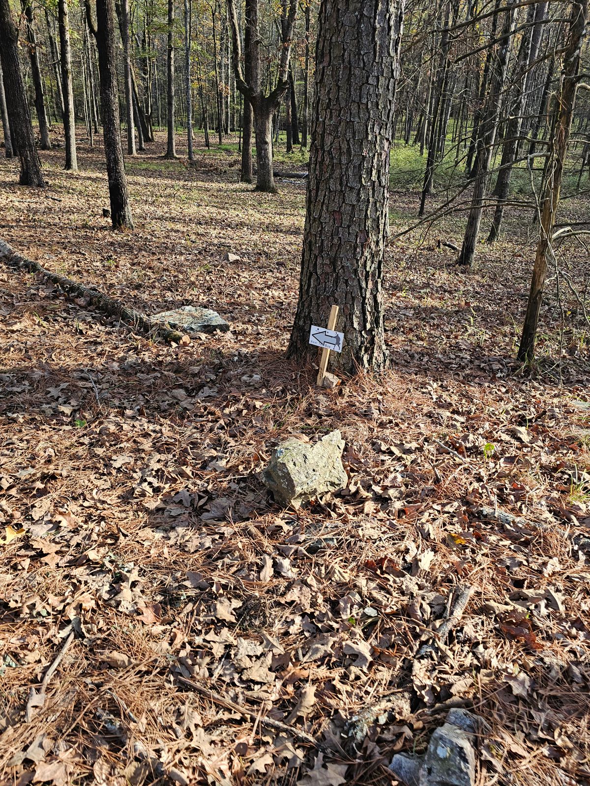 To hole 12