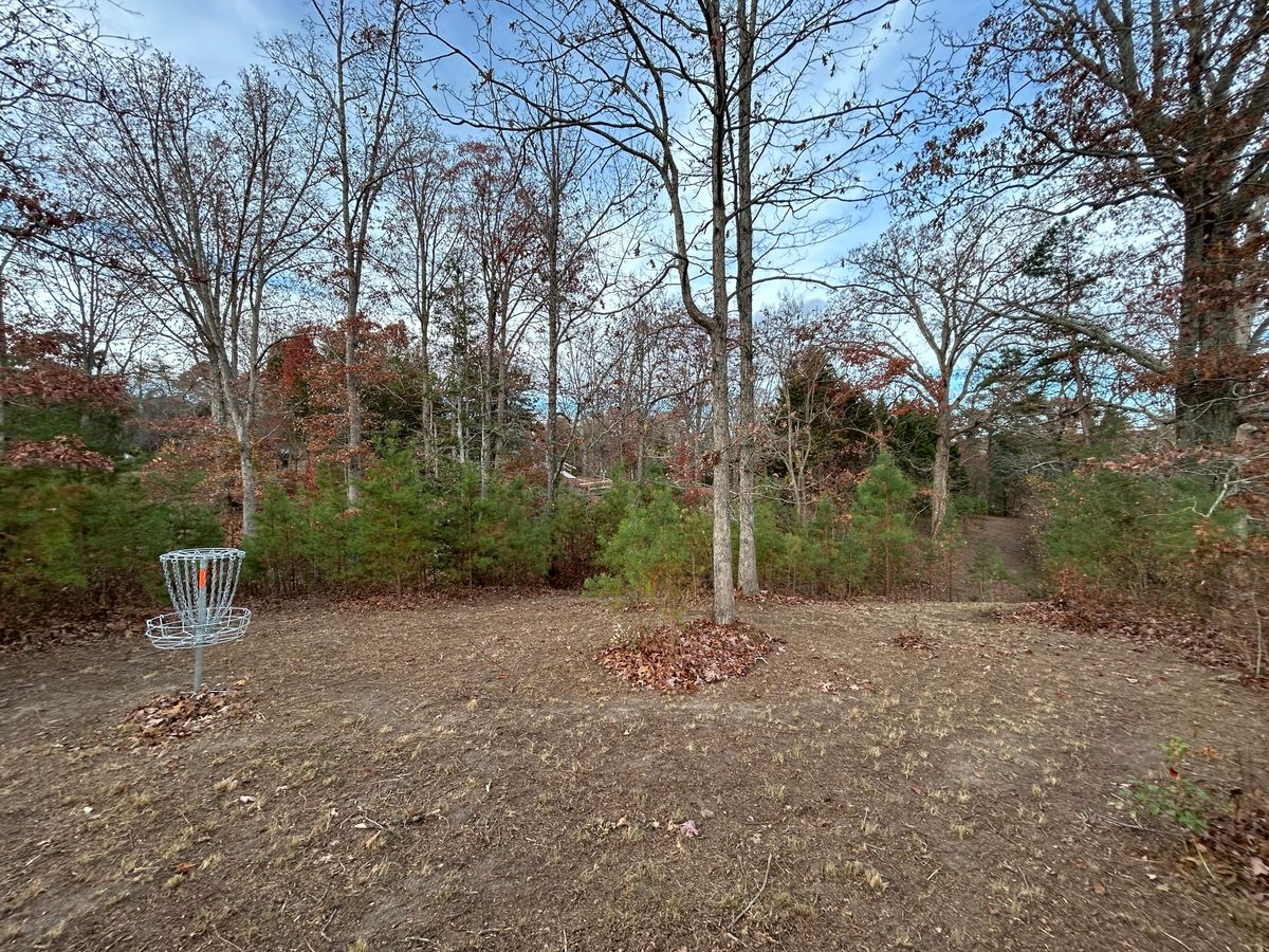 Hole 1 basket