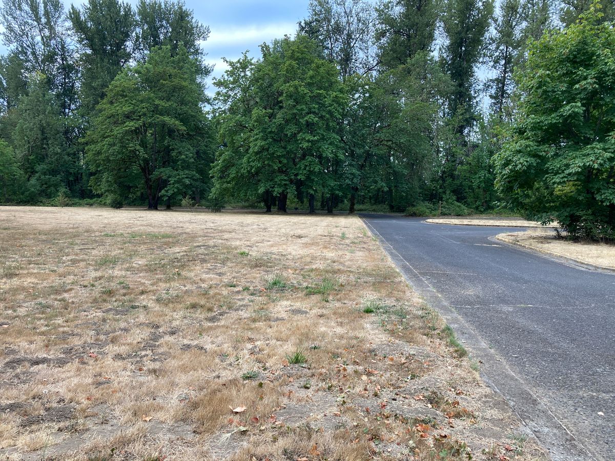 Hole 1 throw from road or dirt.
