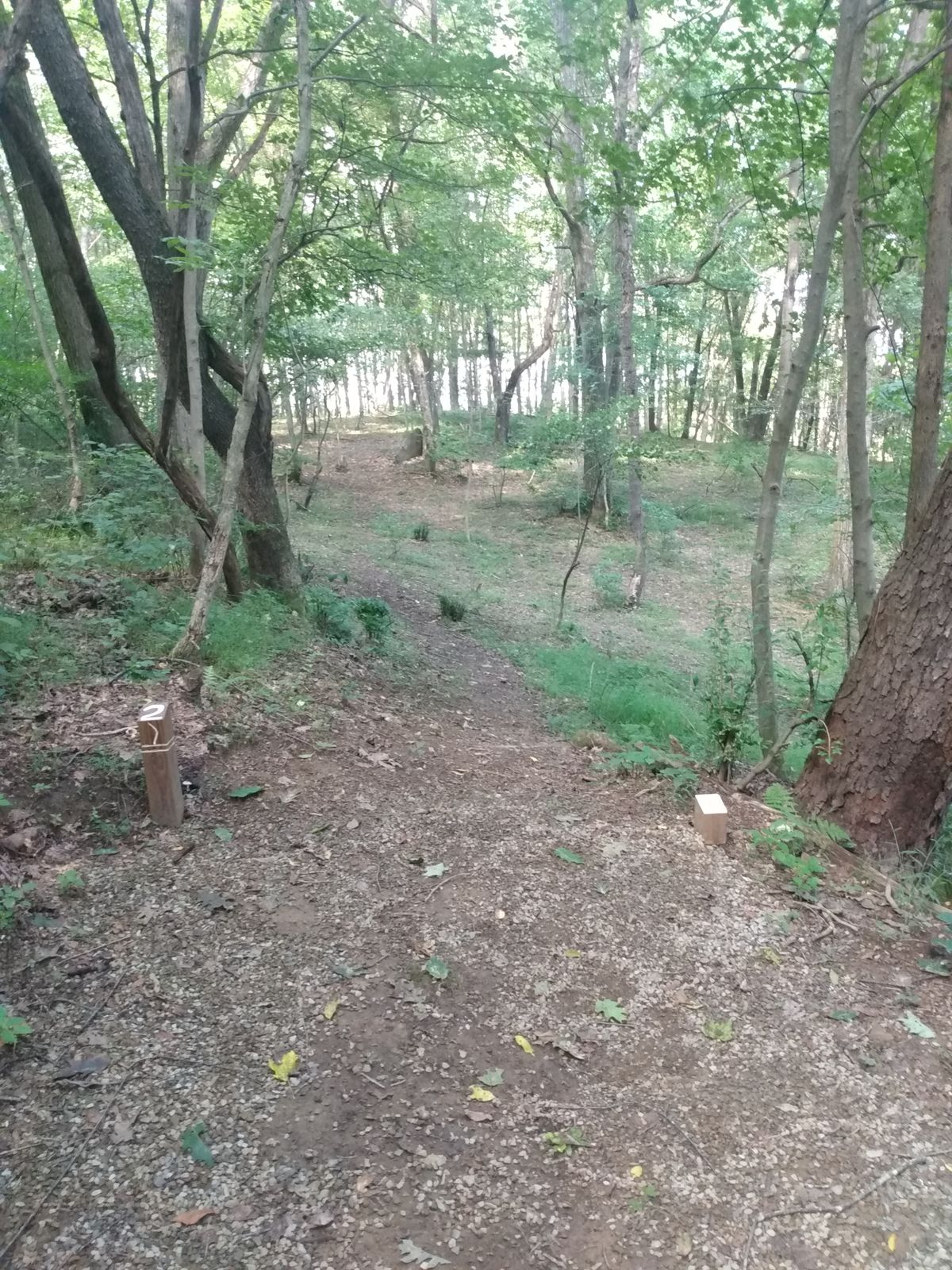 Hole 2 white tee