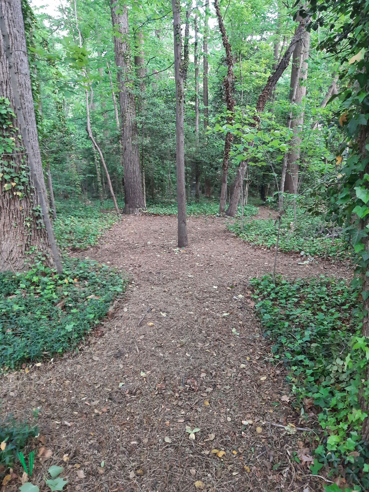 Hole 12 Blue, Gold, and Par 3 Layout Tee