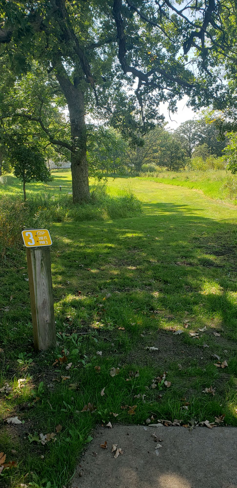 Hole 3 Gold tee