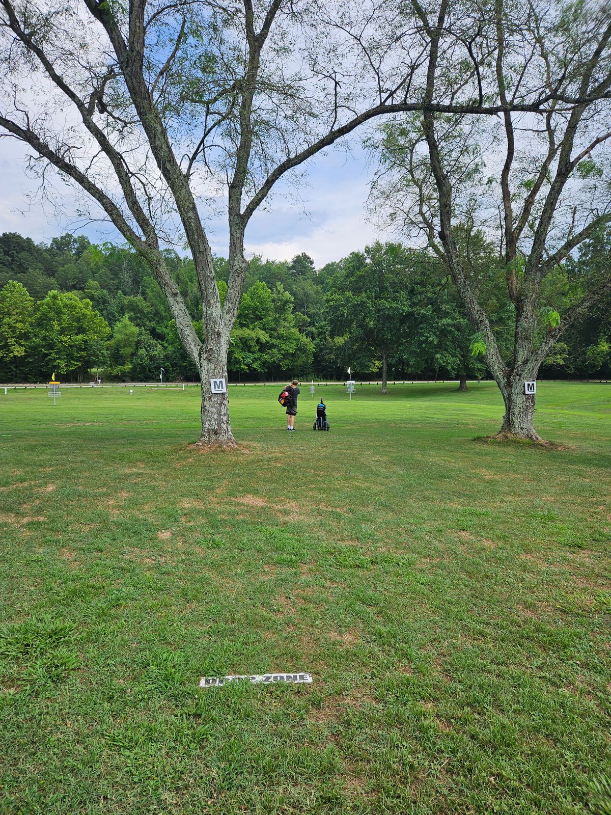Hole 4 Drop Zone. Long Basket Right, Short Basket Left. Note: Double Mandatory. If missed proceed to Drop Zone.