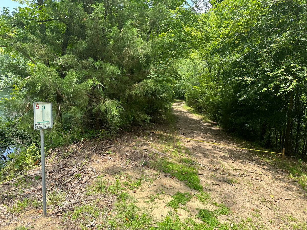 Tee 5
