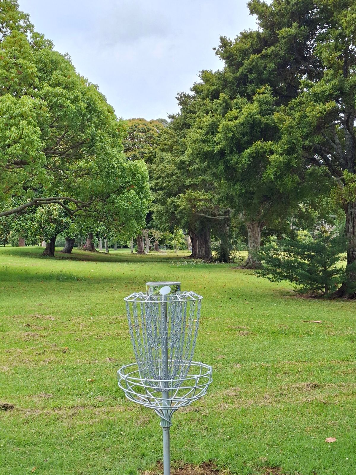 Hole 2 basket looking back down fairway to teepad.