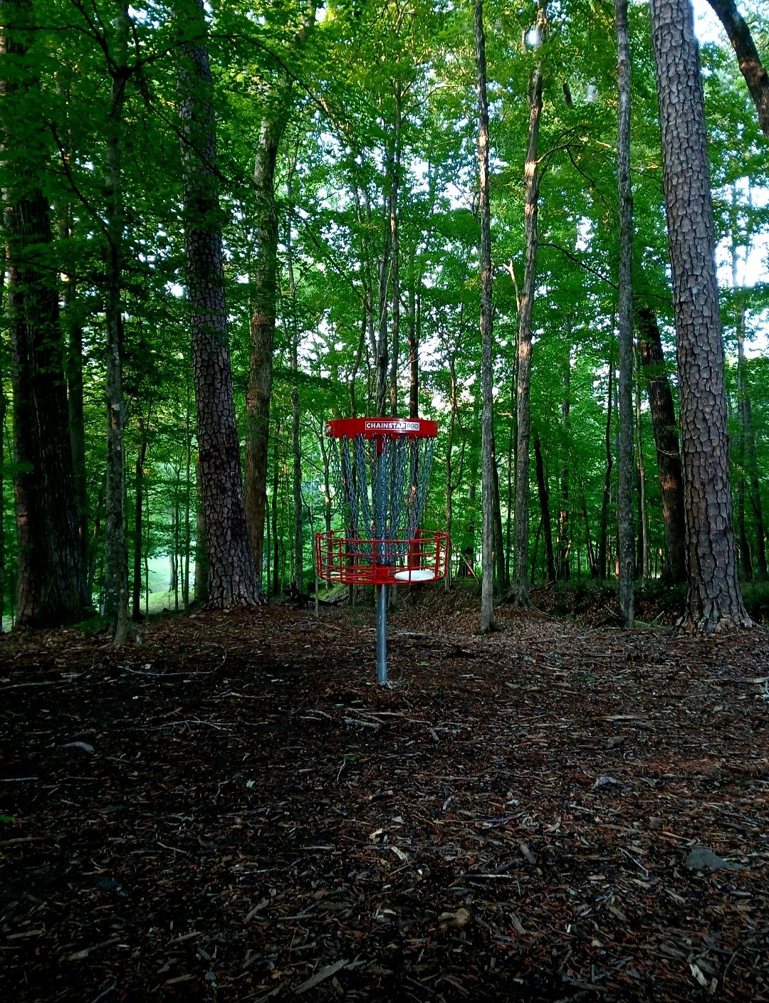 Hole #1 Cage