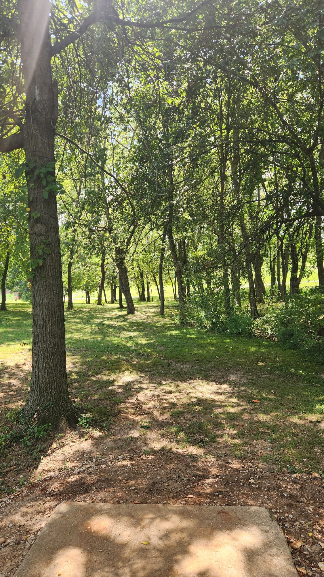 Hole 7 Tee