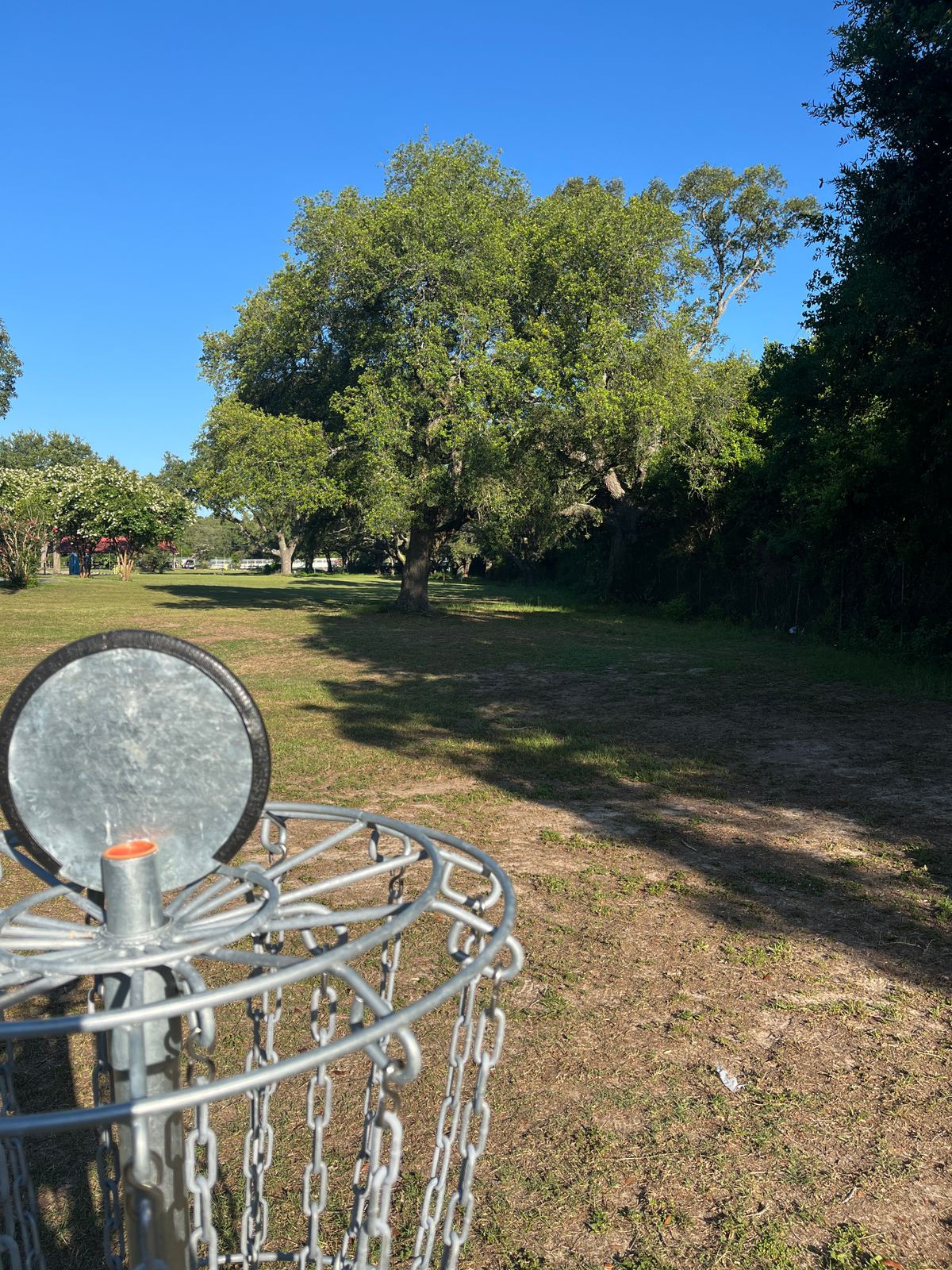 Hole 6 Basket to Tee