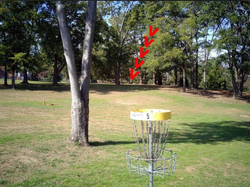 #5 basket to tee