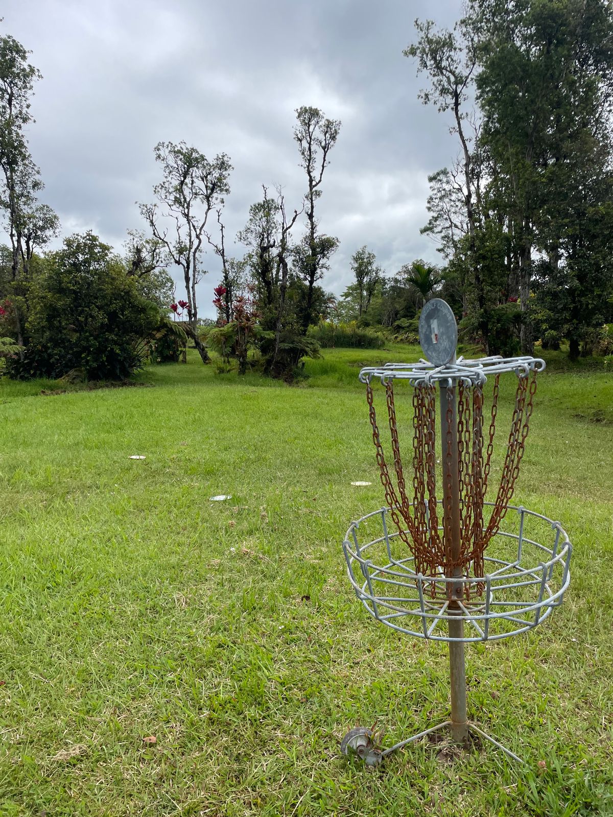 Practice basket