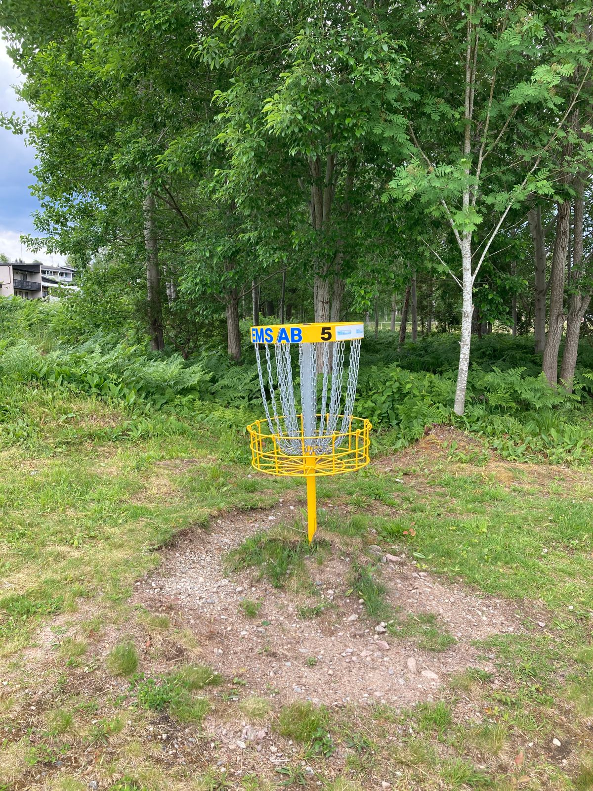 Green hål 5