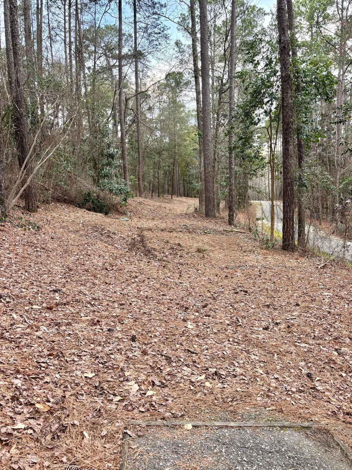 Hole 3 Tee